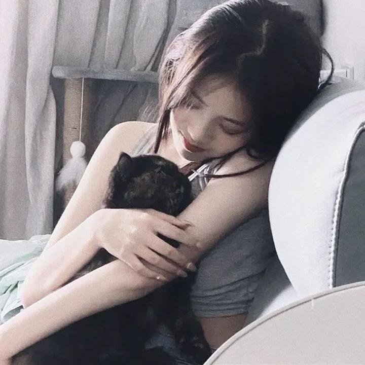 鸡兔英雄与暗黑仓鼠